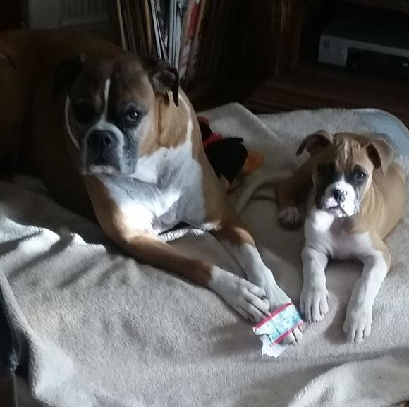 Meet your Posher, Corey - Picture 1 of 1